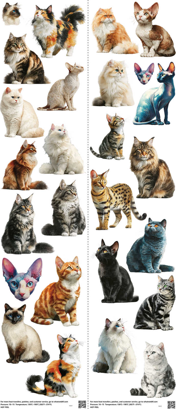 Cat mixed-style heat transfer design set on a 23.5 by 53 inch sheet