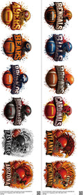 Pro Football mixed-style heat transfer design set on a 23.5 by 53 inch sheet