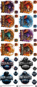 Pro Football mixed-style heat transfer design set on a 23.5 by 53 inch sheet