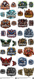 Pro Football mixed-style heat transfer design set on a 23.5 by 53 inch sheet