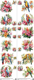 Parrot Flower mixed-style heat transfer design set on a 23.5 by 53 inch sheet